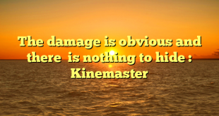 The damage is obvious and there  is nothing to hide : Kinemaster